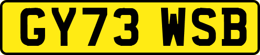 GY73WSB