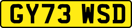 GY73WSD