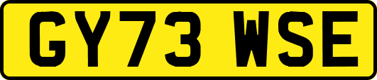 GY73WSE