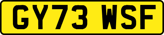GY73WSF
