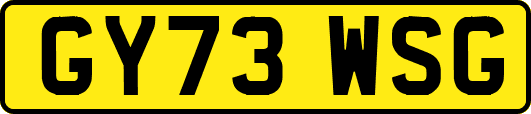GY73WSG