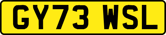GY73WSL