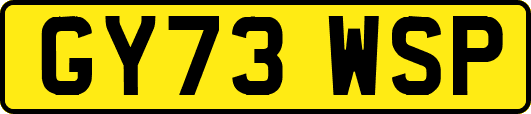 GY73WSP
