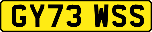 GY73WSS