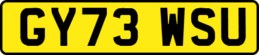 GY73WSU