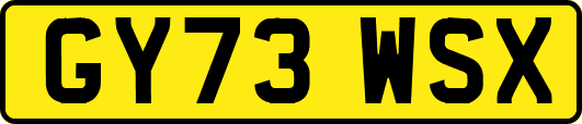 GY73WSX