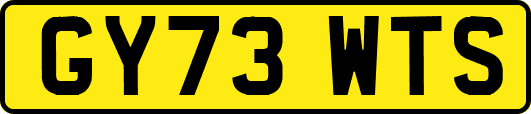 GY73WTS