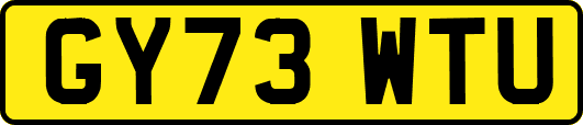 GY73WTU