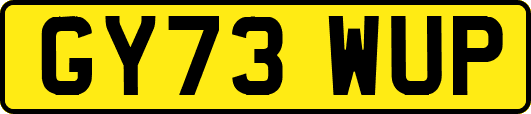 GY73WUP