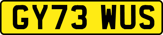 GY73WUS