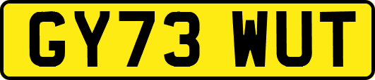 GY73WUT