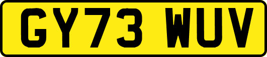 GY73WUV