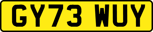 GY73WUY