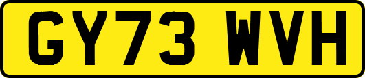 GY73WVH