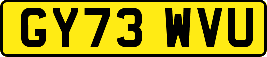 GY73WVU
