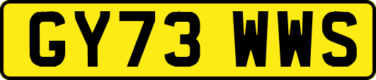 GY73WWS