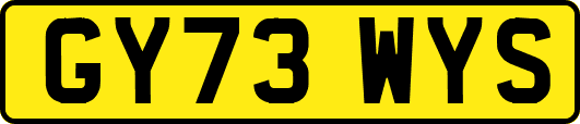 GY73WYS