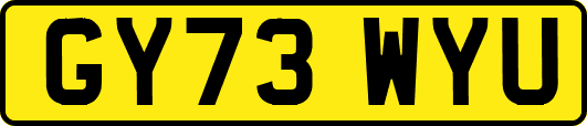GY73WYU