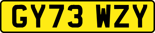 GY73WZY