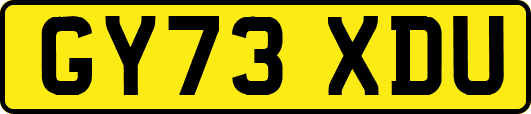 GY73XDU