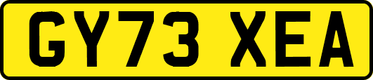 GY73XEA