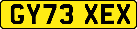 GY73XEX