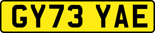 GY73YAE