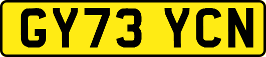 GY73YCN