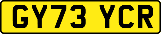 GY73YCR