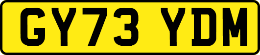 GY73YDM