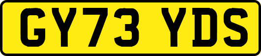 GY73YDS