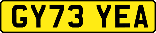 GY73YEA