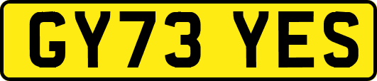 GY73YES