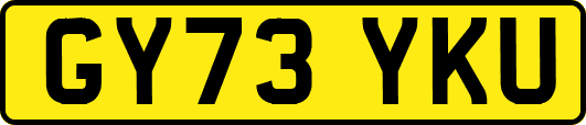 GY73YKU