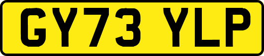 GY73YLP