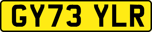 GY73YLR