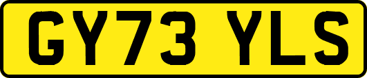 GY73YLS