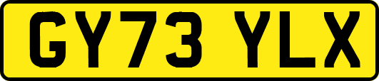 GY73YLX