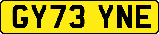 GY73YNE