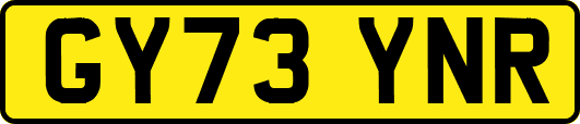GY73YNR