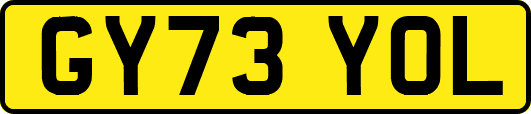 GY73YOL