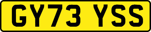 GY73YSS