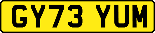 GY73YUM