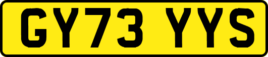 GY73YYS