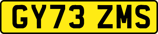 GY73ZMS