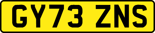 GY73ZNS