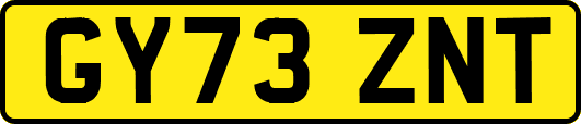 GY73ZNT