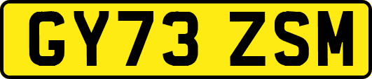 GY73ZSM