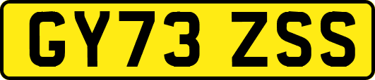 GY73ZSS