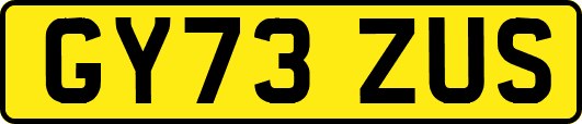 GY73ZUS